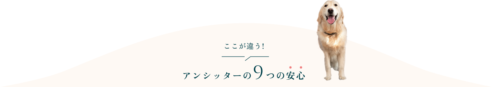 ここが違う! アンシッターの8つの安心